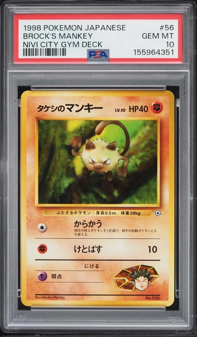 Brock's Mankey