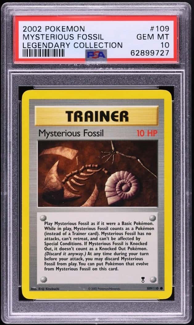 Mysterious Fossil