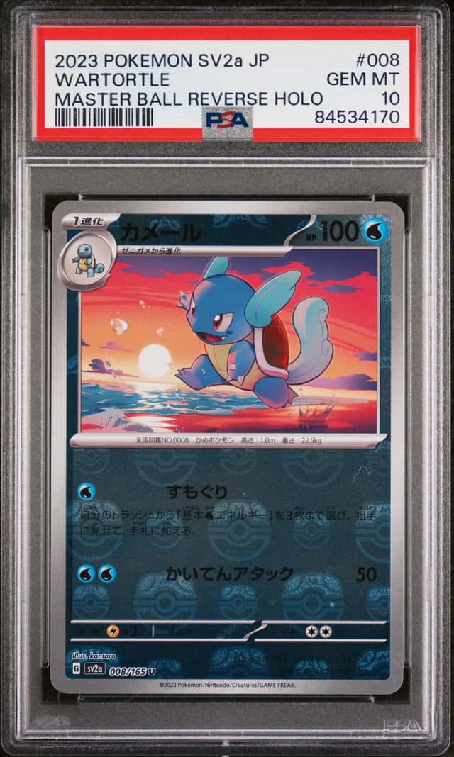 Wartortle