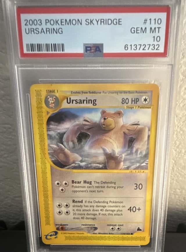 Ursaring