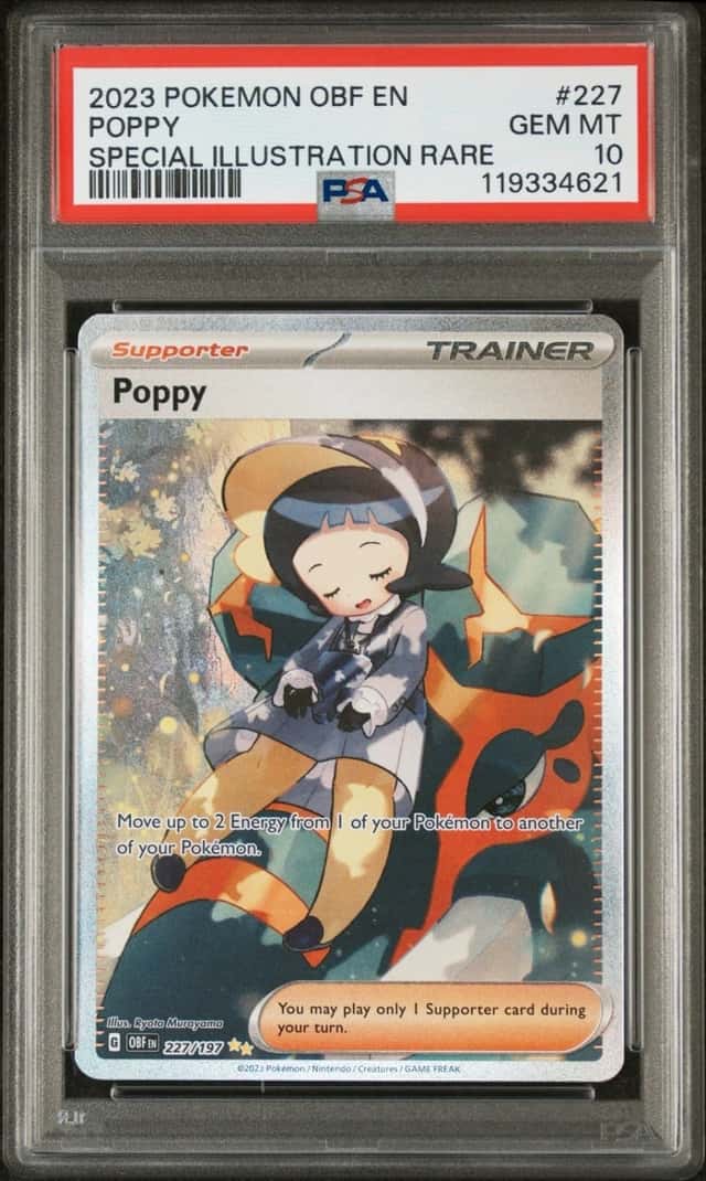 Poppy