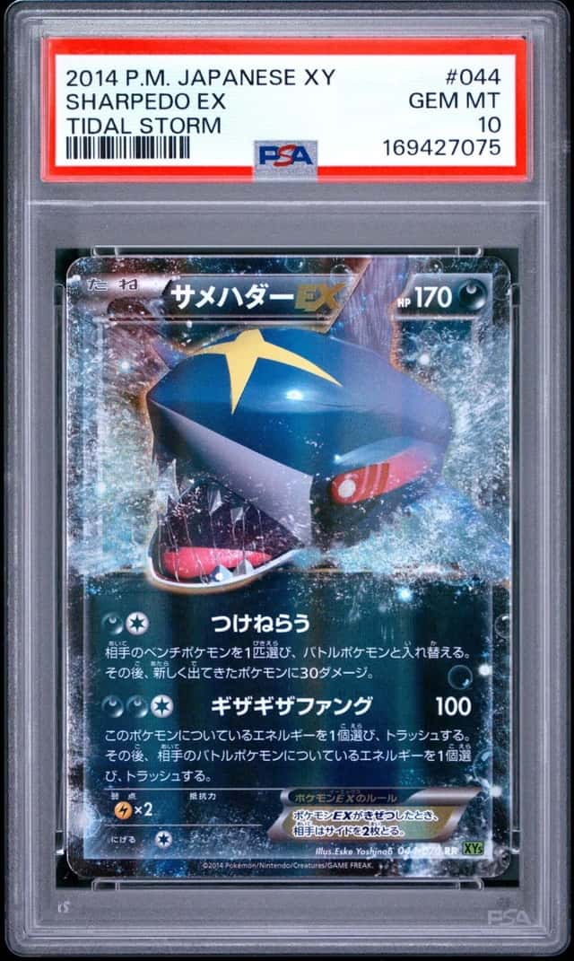 Sharpedo EX