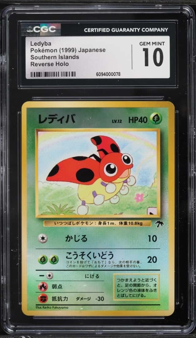Ledyba