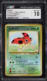 Ledyba