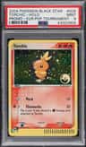 Torchic
