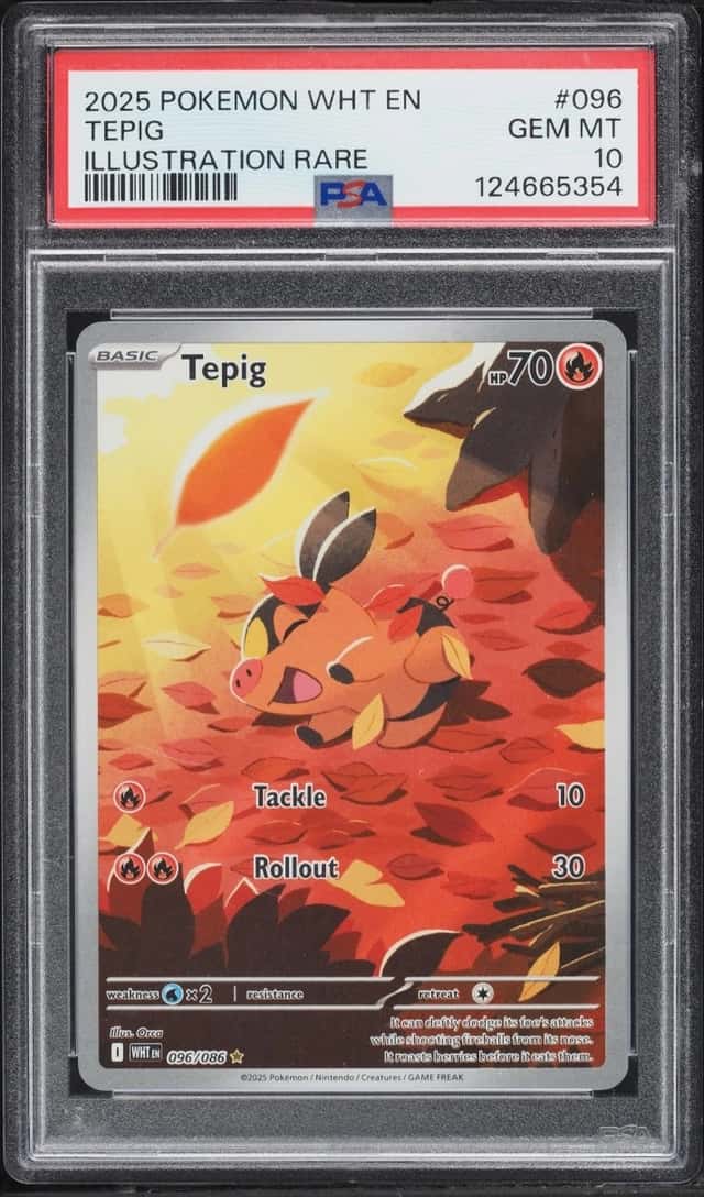 Tepig