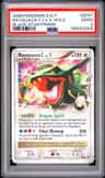 Rayquaza C Lv X