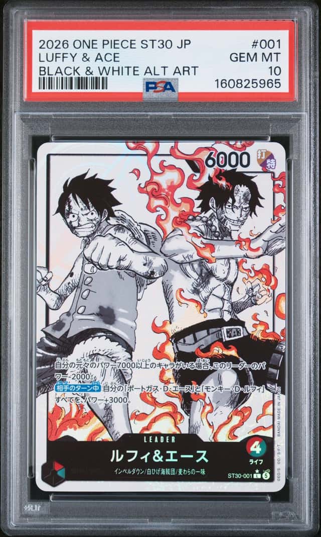 Luffy & Ace