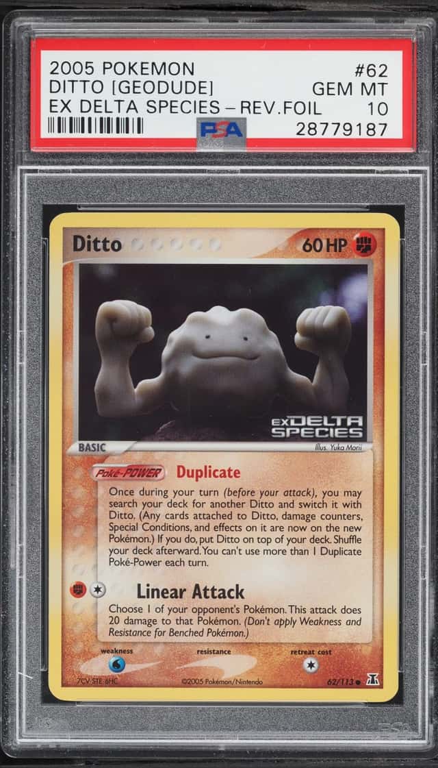 Ditto [Geodude]