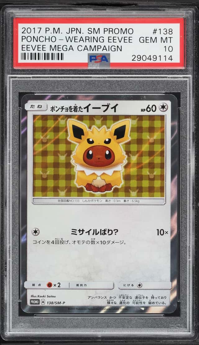 Poncho-wearing Eevee