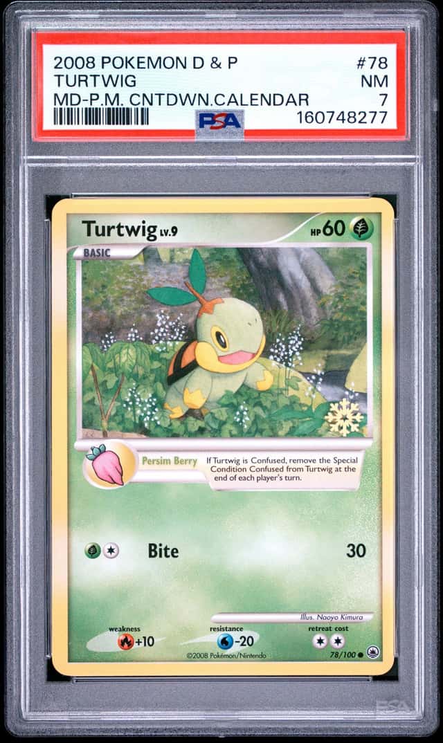 Turtwig