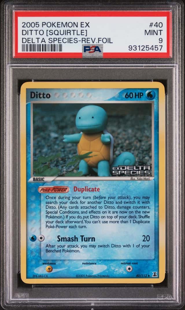 Ditto [Squirtle]