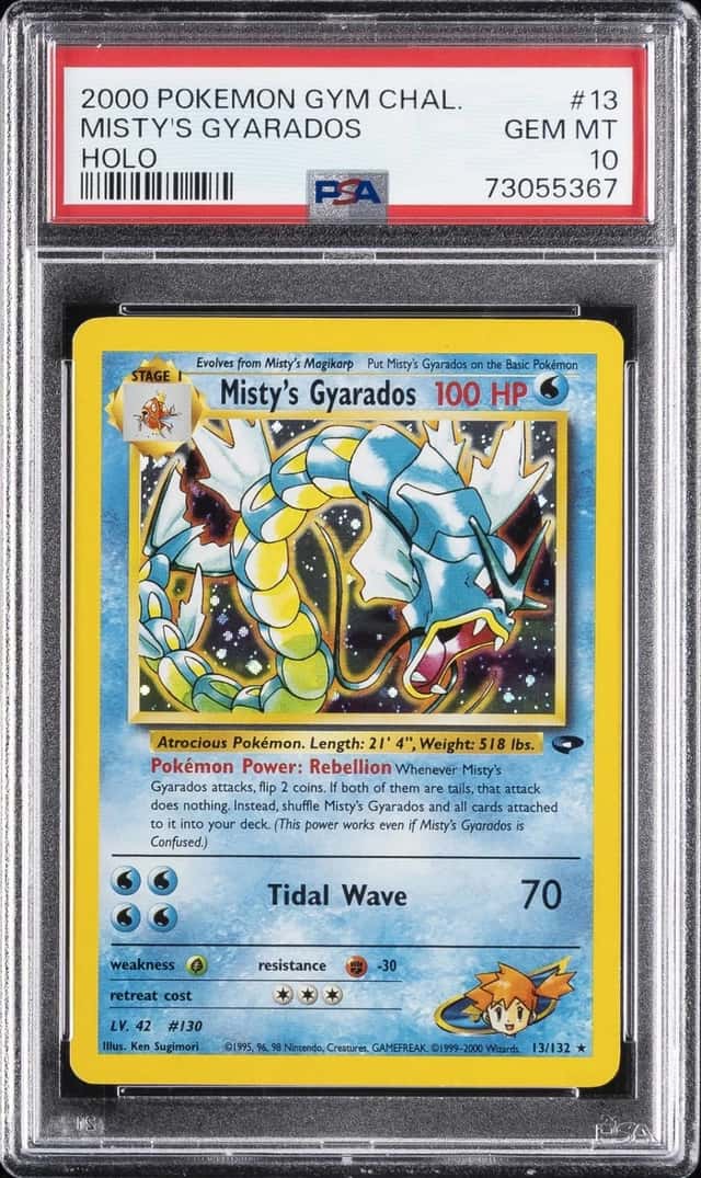 Misty's Gyarados