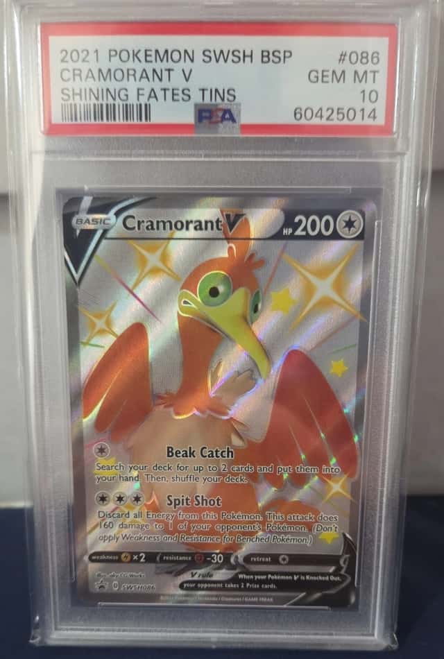 Cramorant V