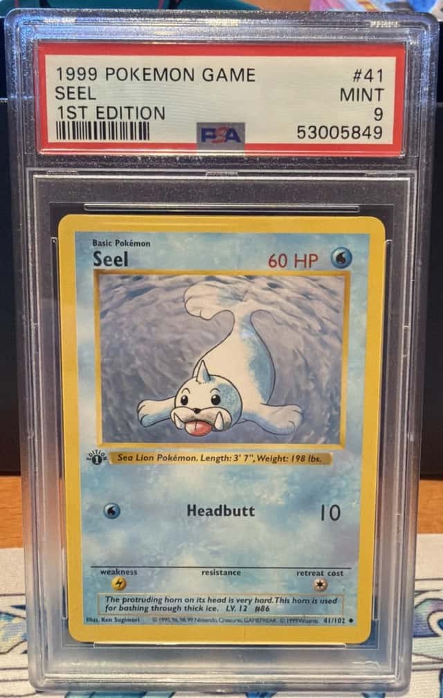 Seel