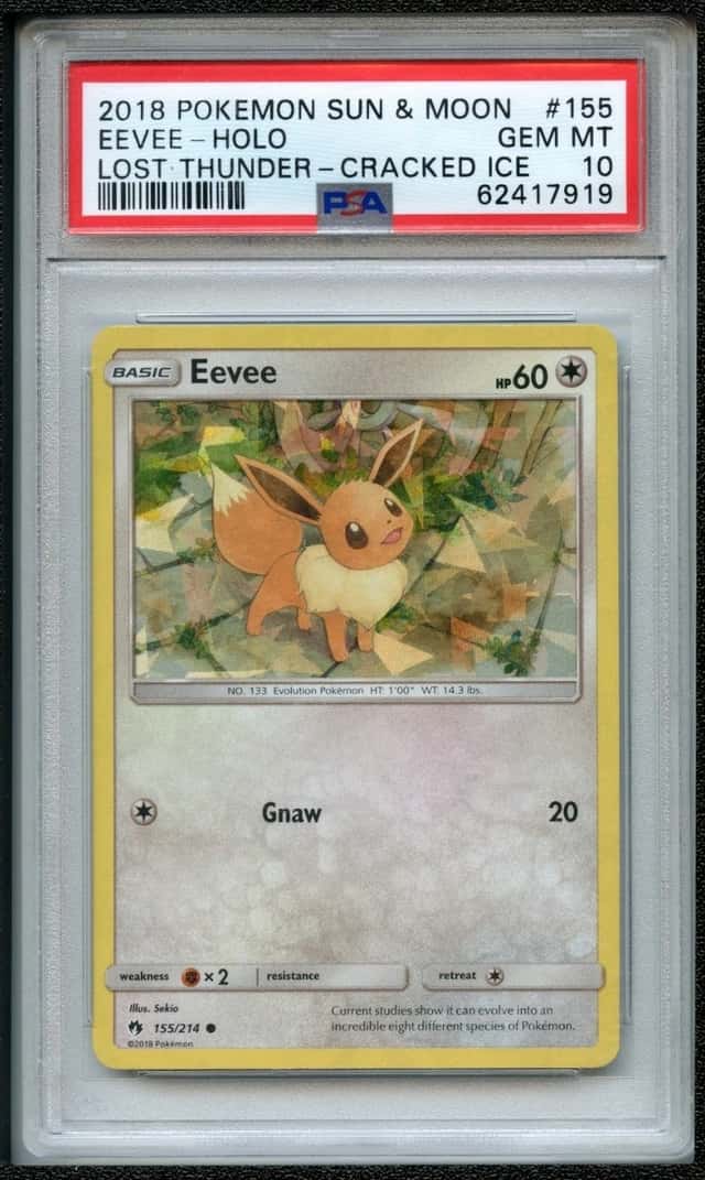 Eevee