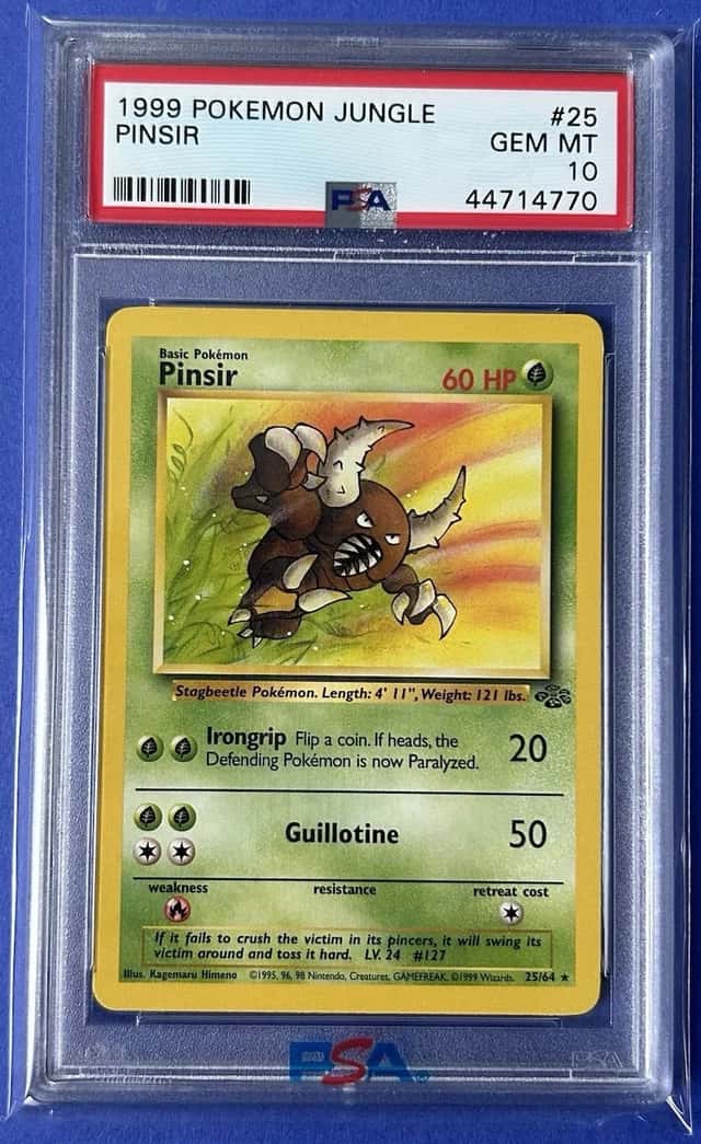 Pinsir