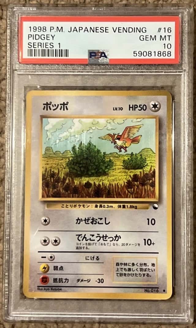 Pidgey