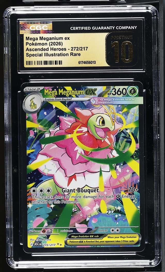 MEGA MEGANIUM ex