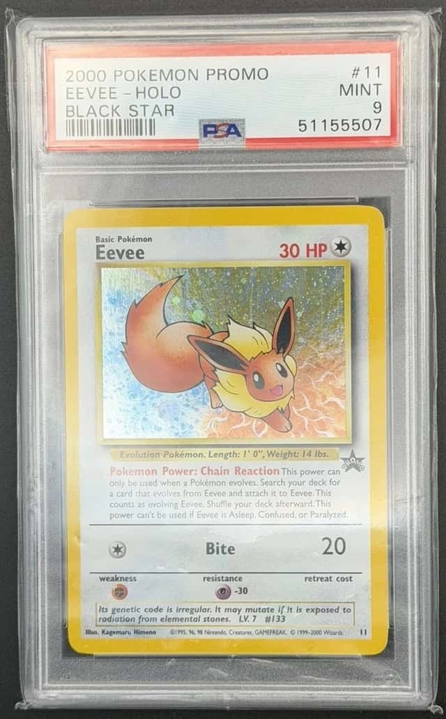 Eevee