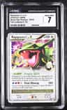 Rayquaza C Lv X