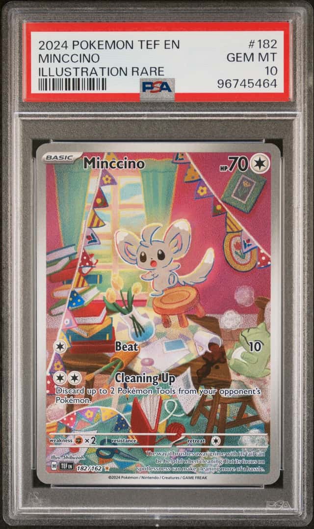 Minccino