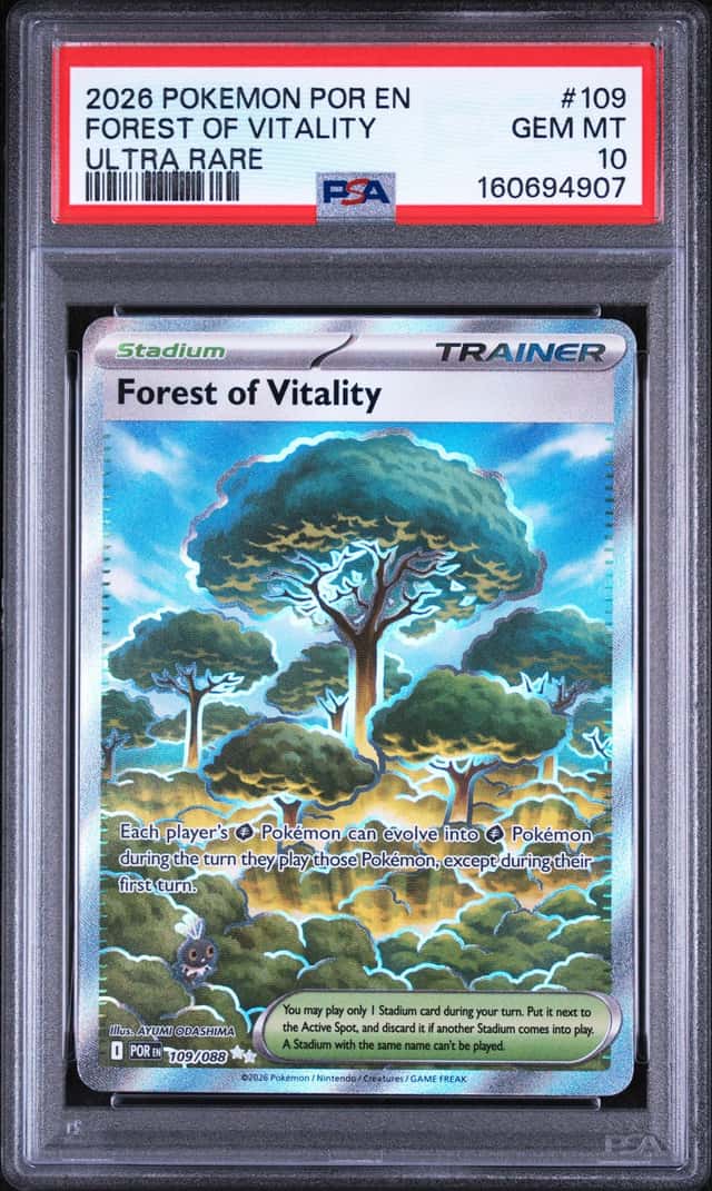Forest Of Vitality