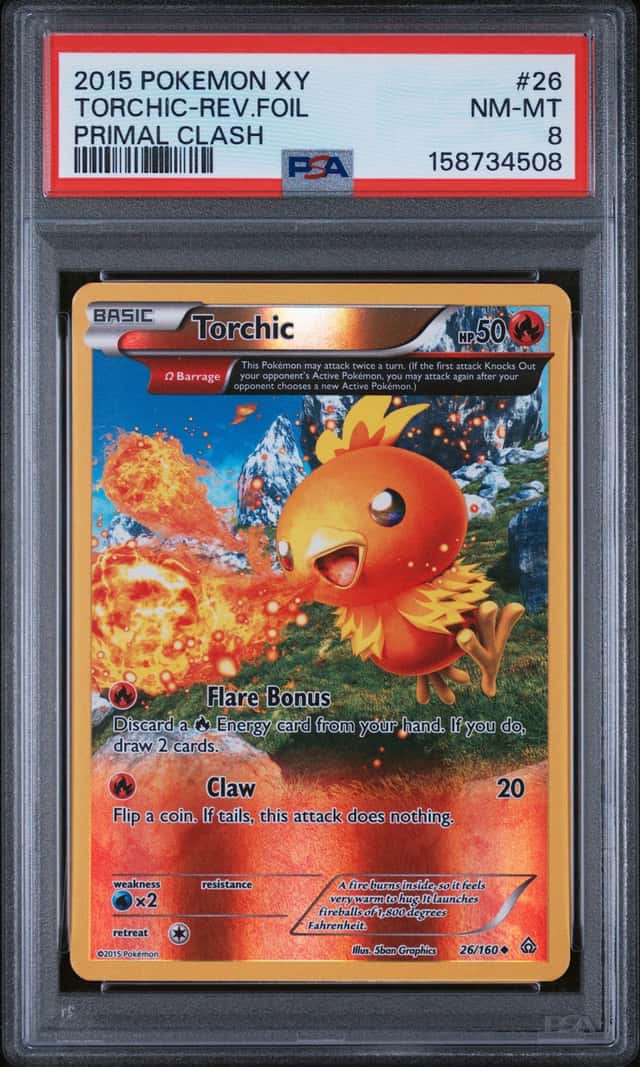 Torchic
