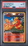 Torchic