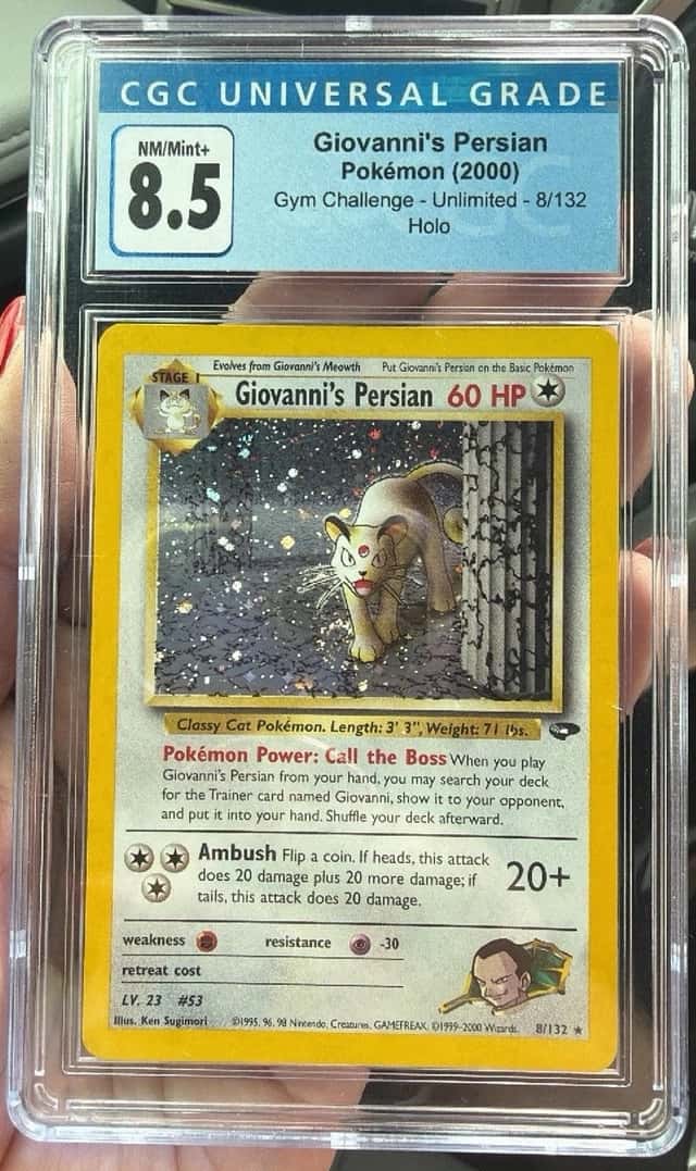 Giovanni's Persian