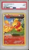 Torchic