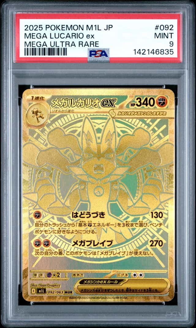 MEGA LUCARIO ex