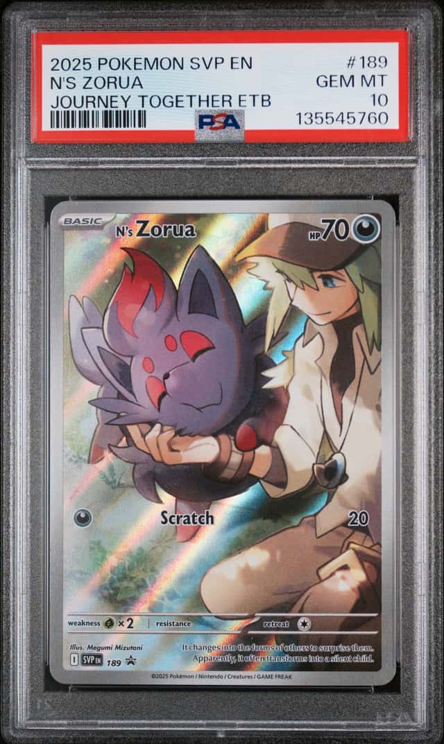 N's Zorua