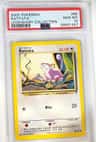 Rattata