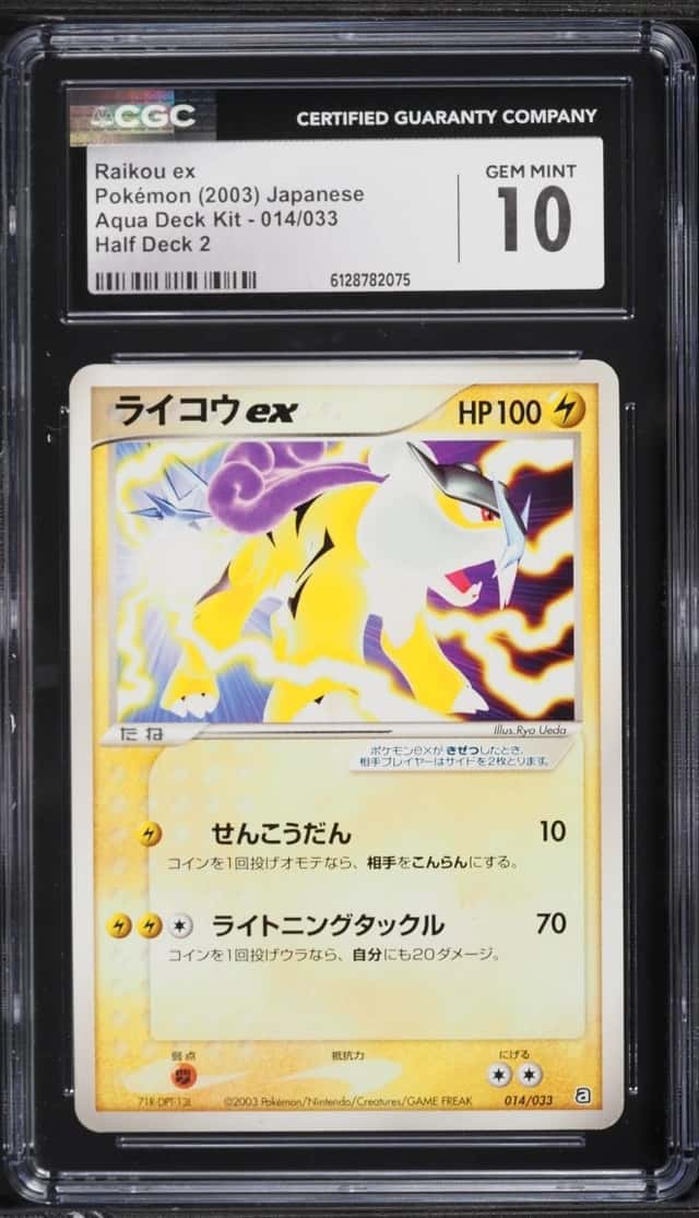 Raikou EX