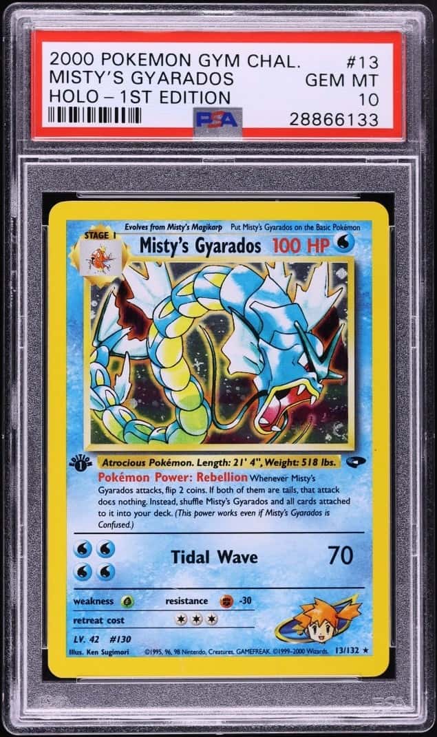Misty's Gyarados