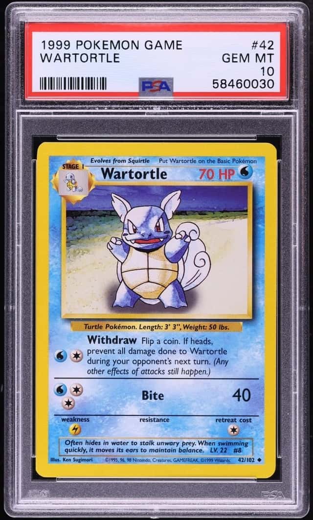 Wartortle