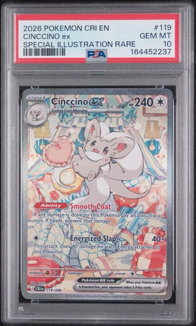 CINCCINO ex