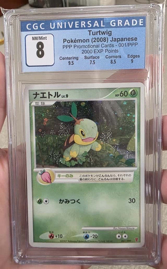 Turtwig