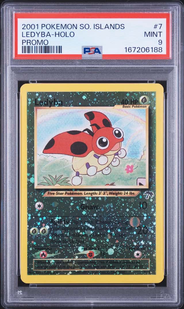 Ledyba