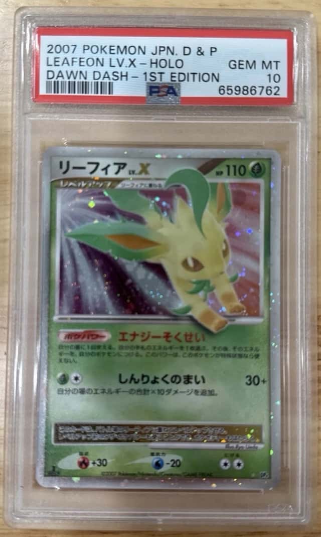 Leafeon Lv X