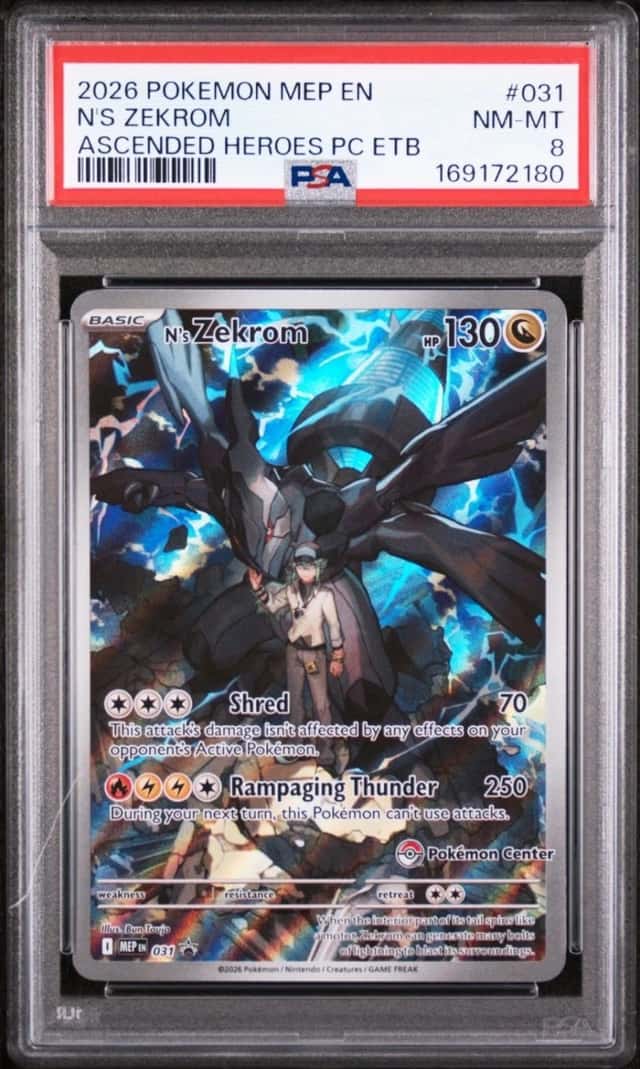 N's Zekrom
