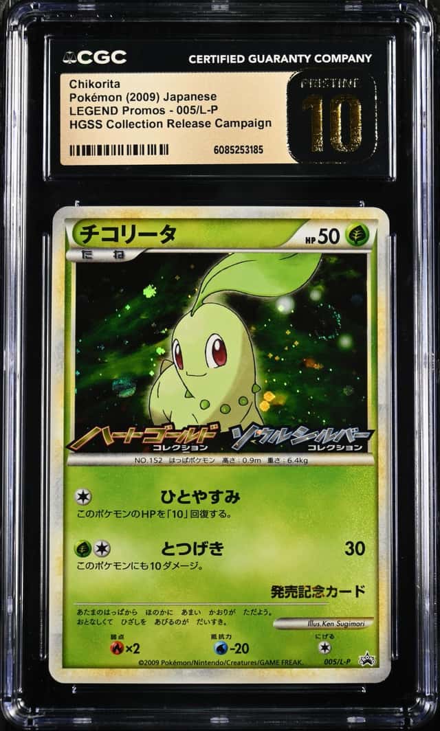 Chikorita