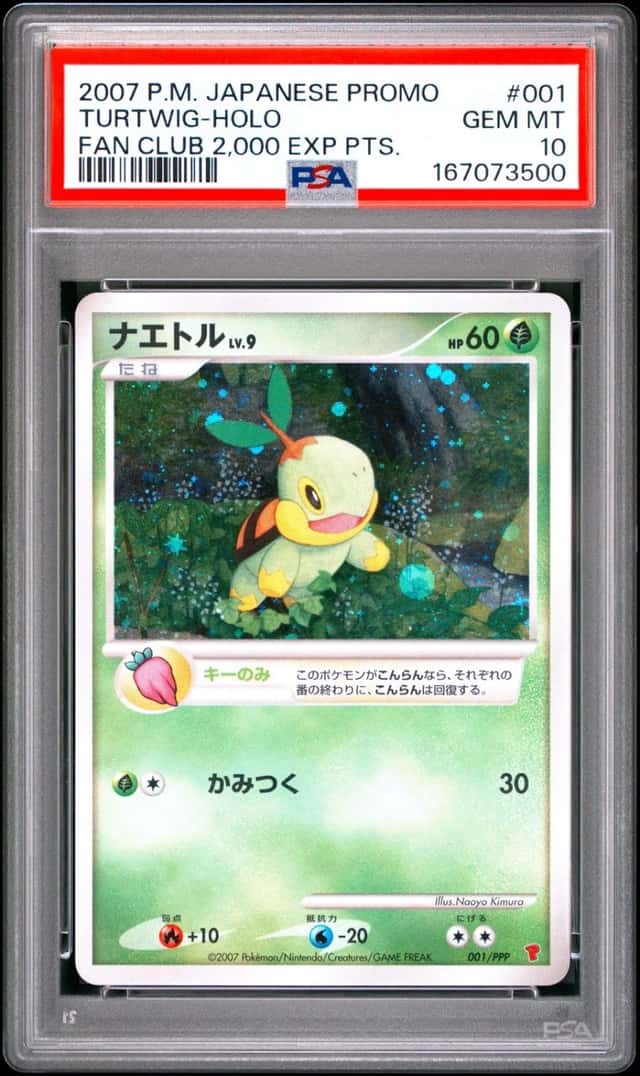 Turtwig