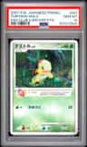 Turtwig