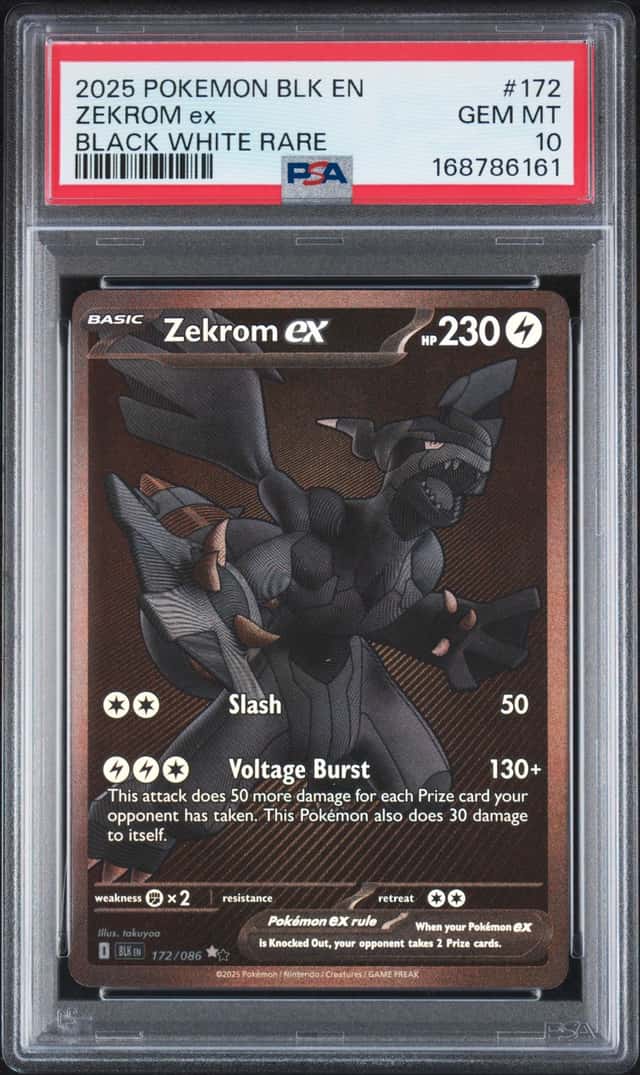 ZEKROM ex