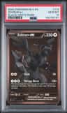 Zekrom Ex
