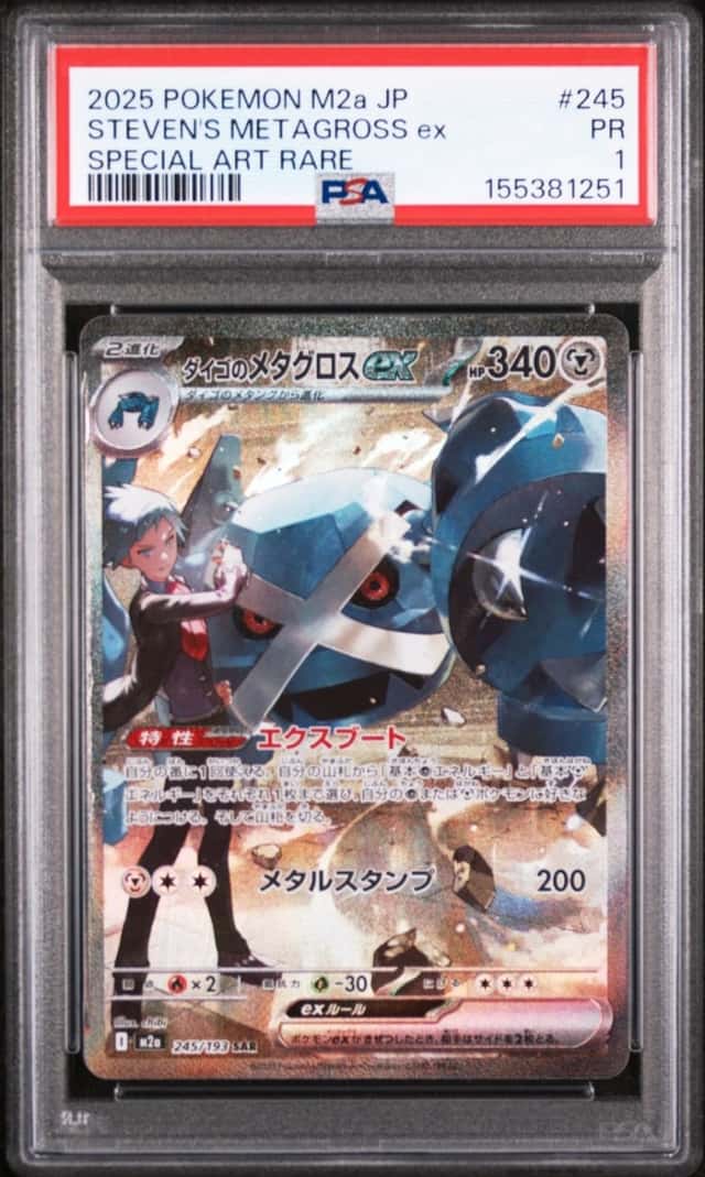 STEVEN'S METAGROSS ex