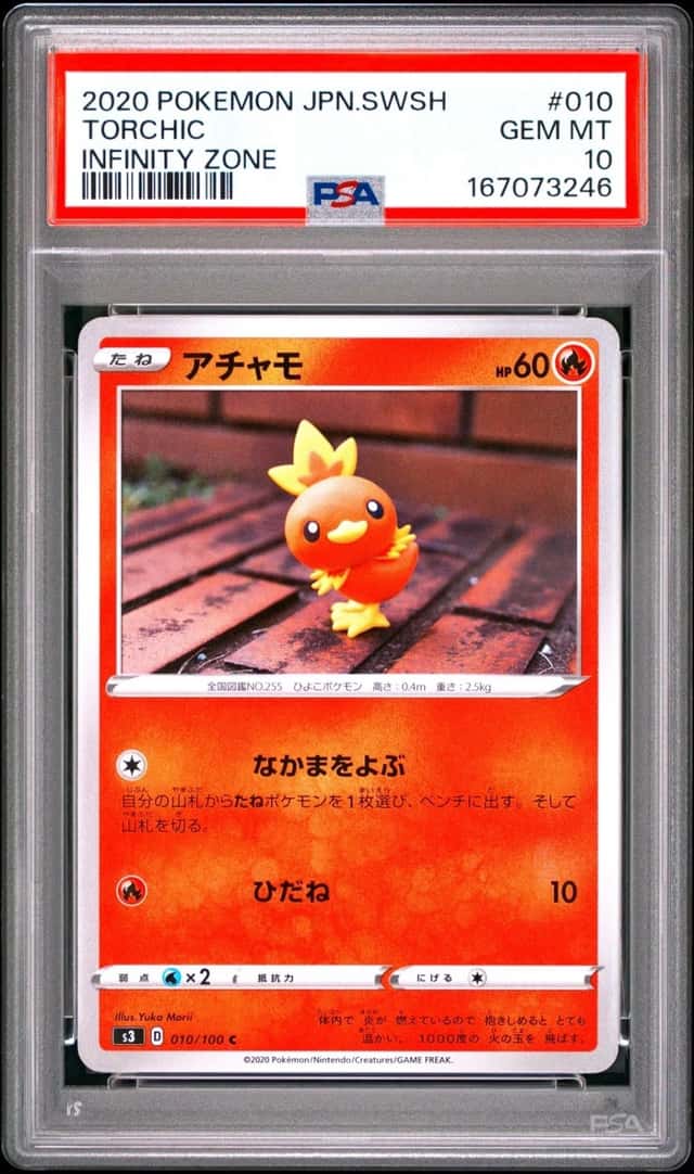 Torchic