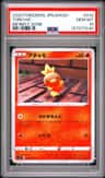 Torchic